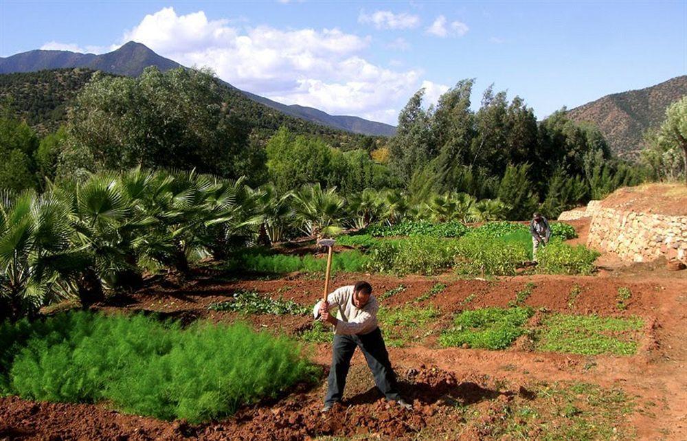 Domaine Malika Hotel Moulay Brahim Esterno foto